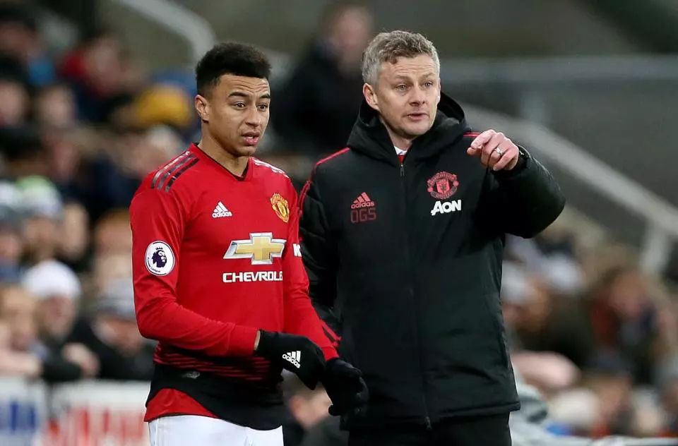 队赢得了西 队赢得了西